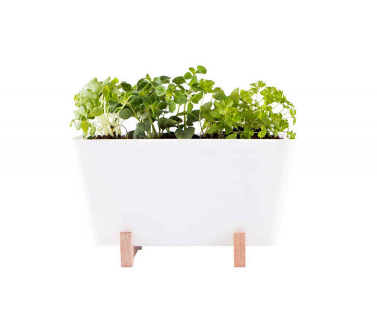 waterwick-samozavlazovaci-mini-truhlik-plant-box